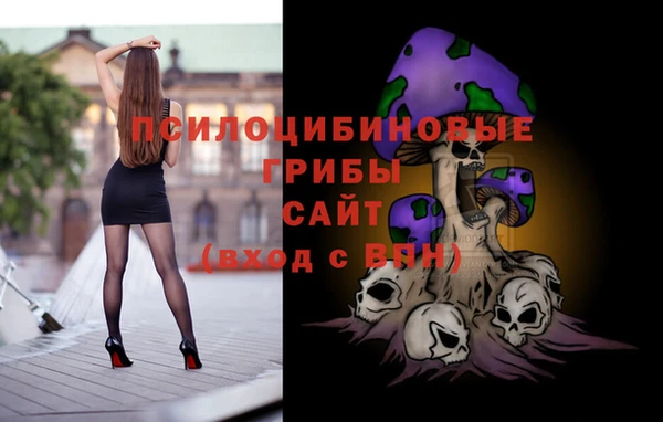 хмурый Богданович