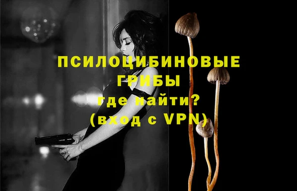 мескалин Богородск