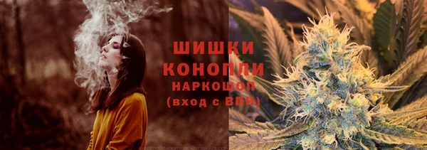 mdpv Белокуриха