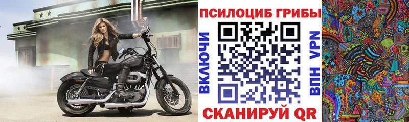 Псилоцибиновые грибы Cubensis  сайты даркнета Telegram  Болхов 